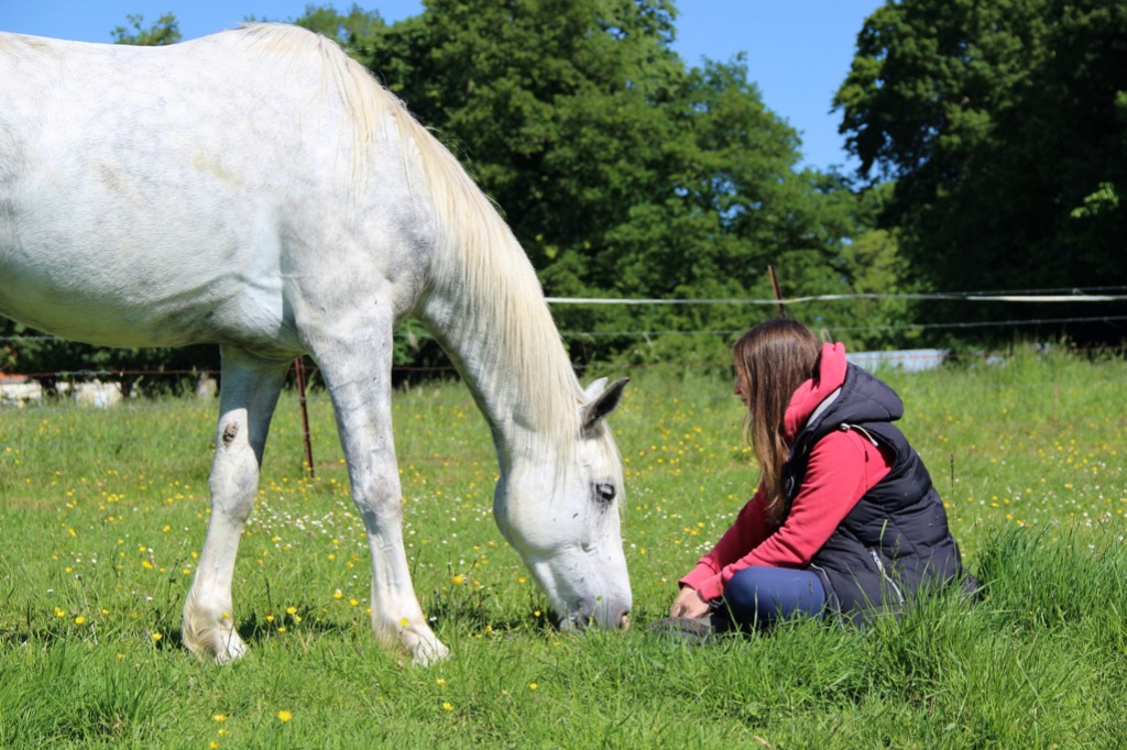 photo portrait Equi Harmonie