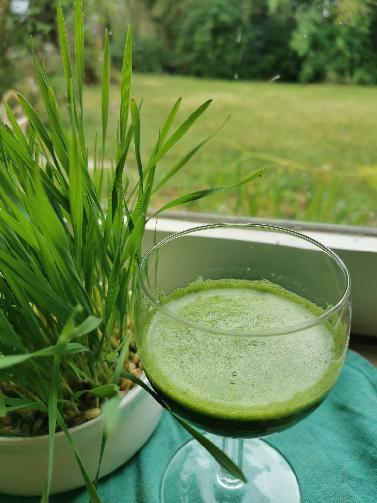 photo activite Marie Périn Naturopathe