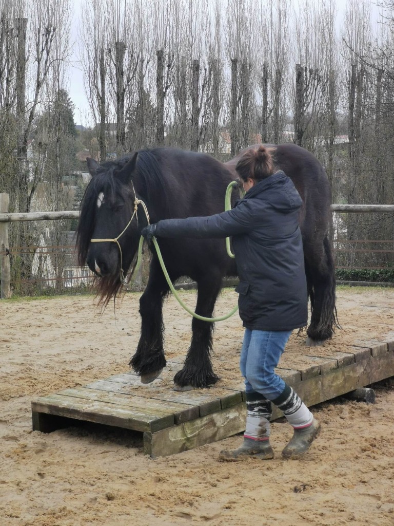 photo activite Ludovic beaujouan