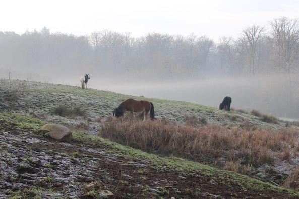 photo diplome Ludovic beaujouan