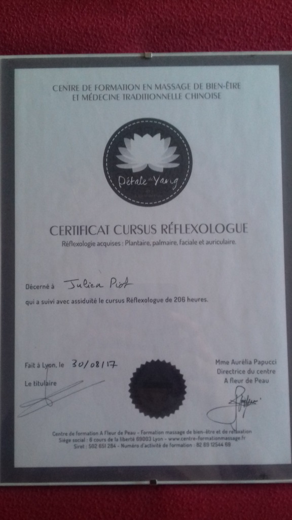 photo diplome JULIEN ROMAIN PIOT