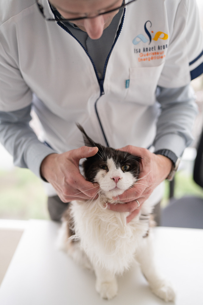 photo seance Isa Anaël Aron