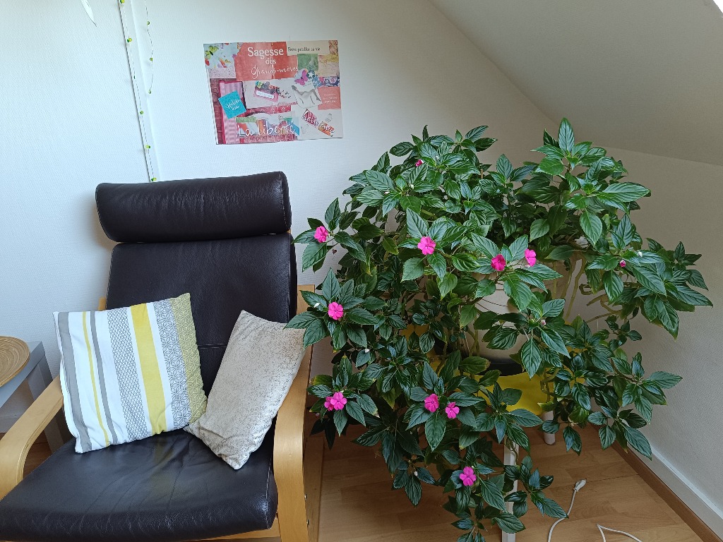 photo cabinet Odile SCELLIER