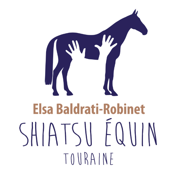 Shiatsu Equin Touraine