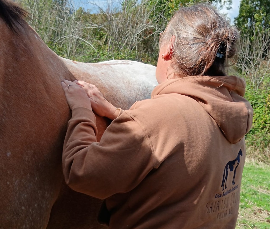 photo activite Shiatsu Equin Touraine