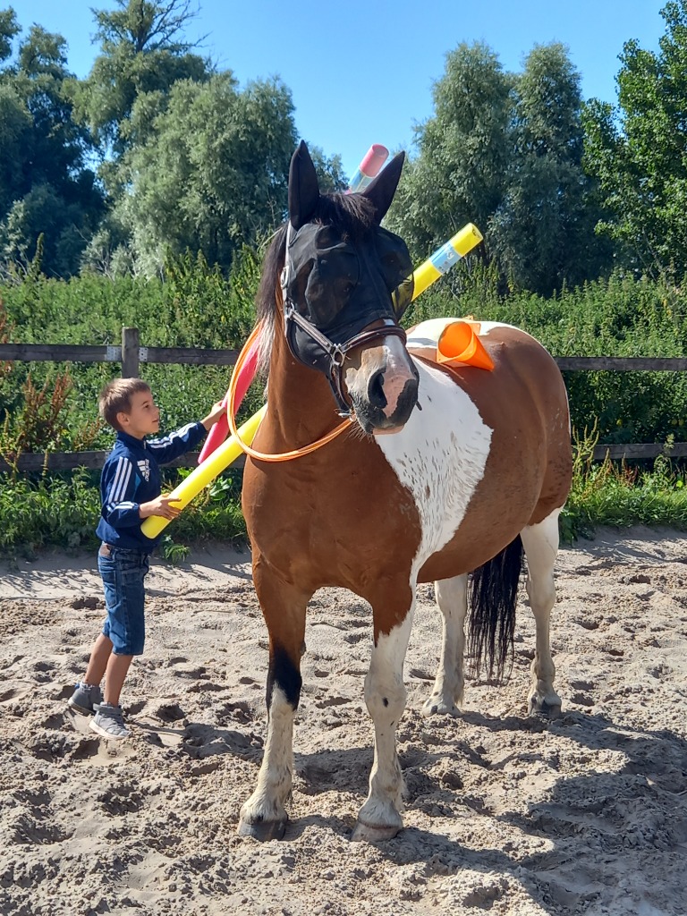 photo seance Sur le chemin du Moi