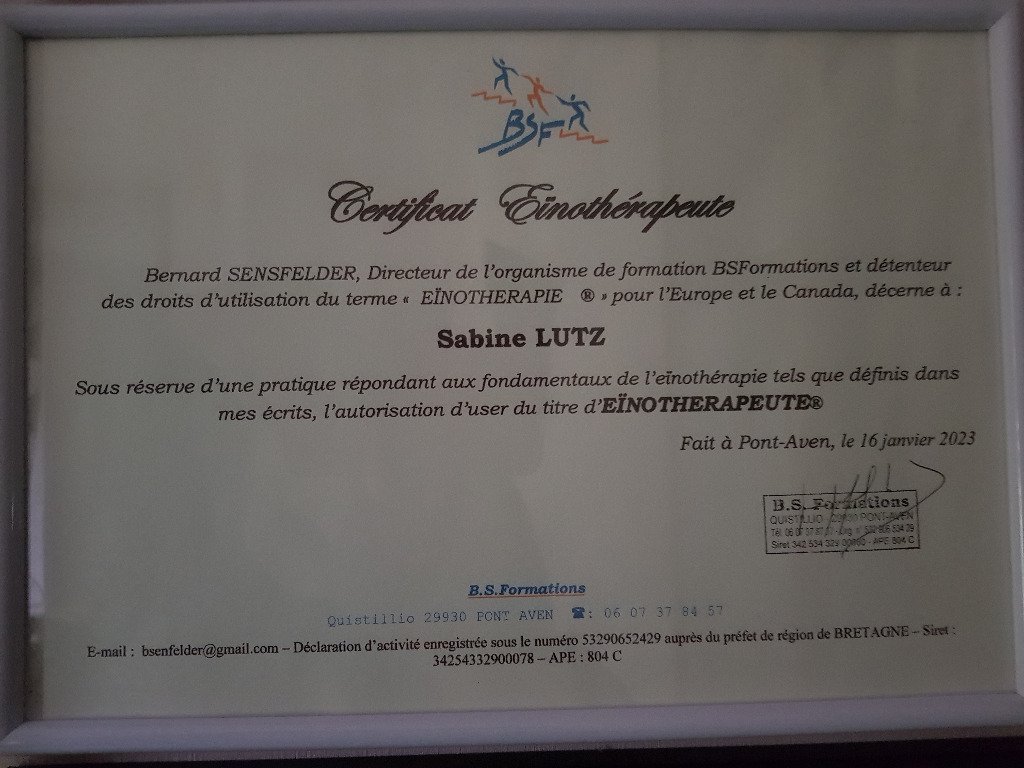 photo diplome Lidezs