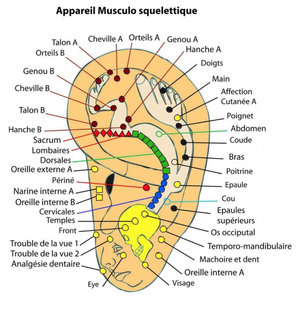 photo activite Christophe crombet
