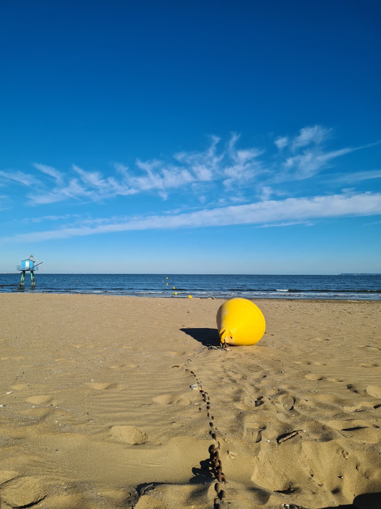 photo diplome Debord guiard anita