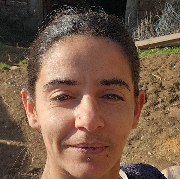 Au petit bonheur des pierres 