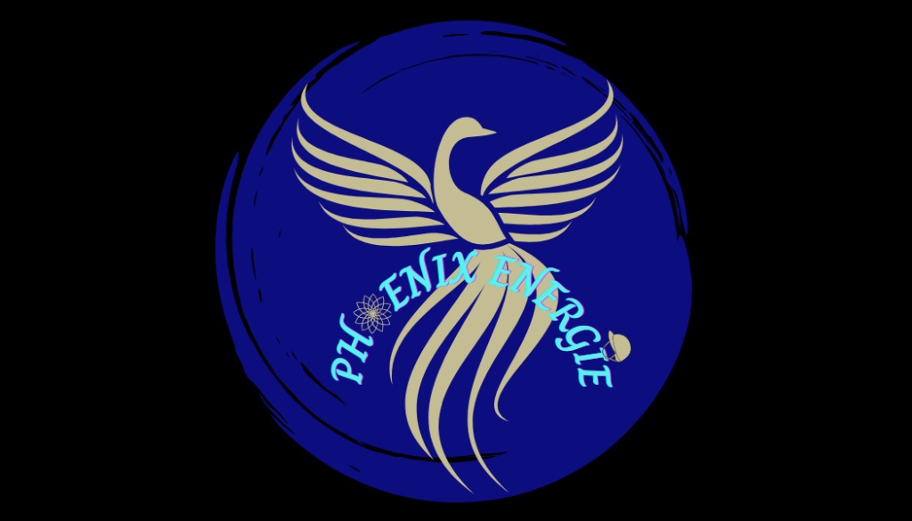 photo activite LISE NOEL