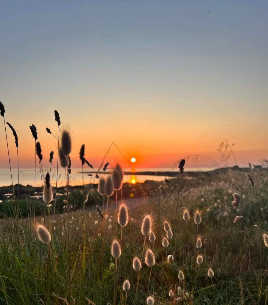 photo seance Treizhadden 