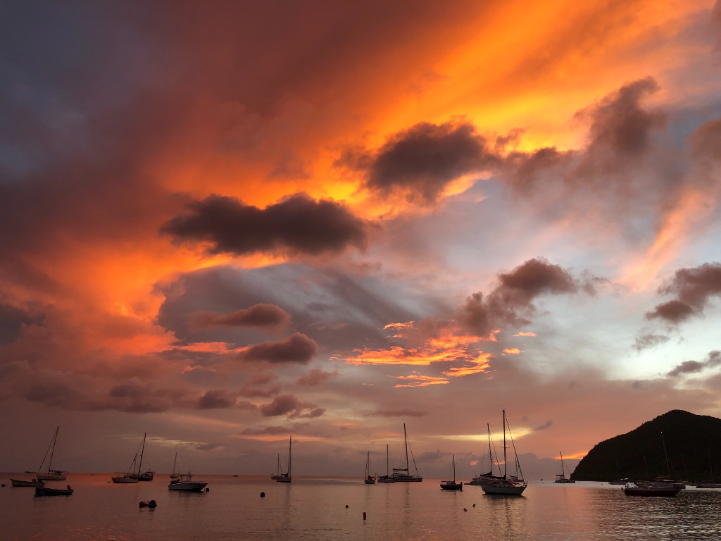 photo activite Noëlle Nguyen