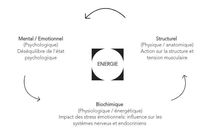 photo diplome L’iliade