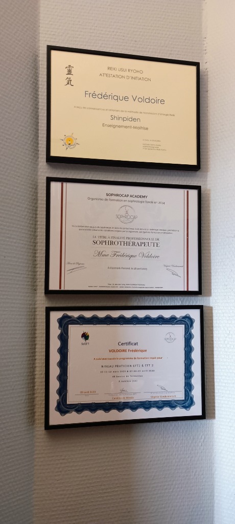 photo diplome Frédérique Voldoire