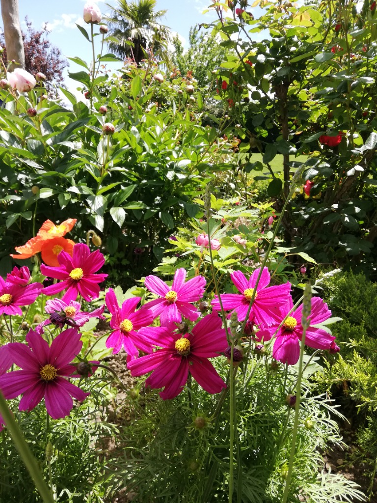 photo seance Mastrandreas Marie