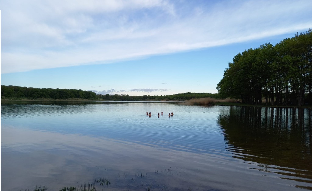 photo activite Yohan Gaudry