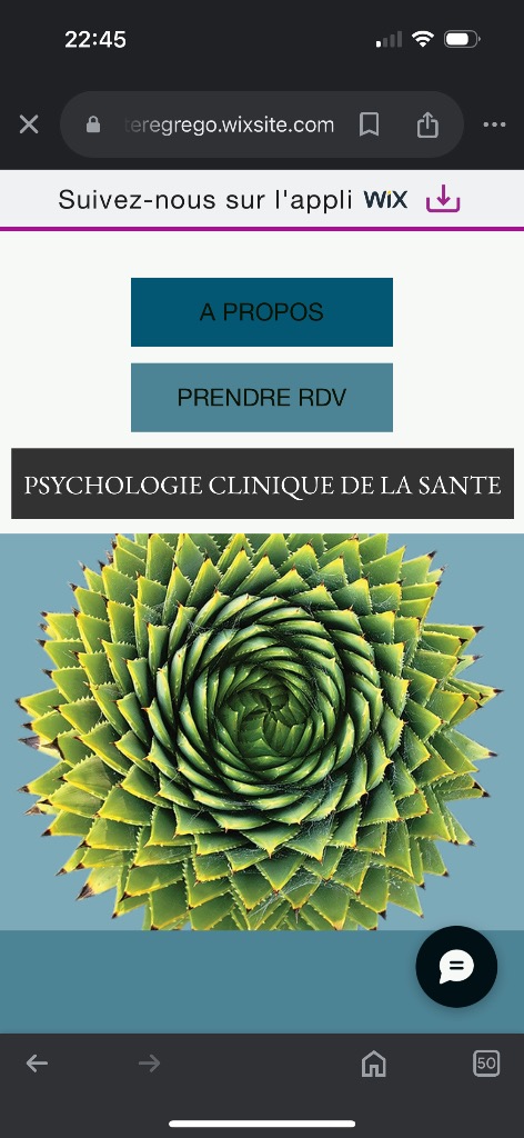 photo cabinet Stéphanie Bonnin Psychologie de la Santé