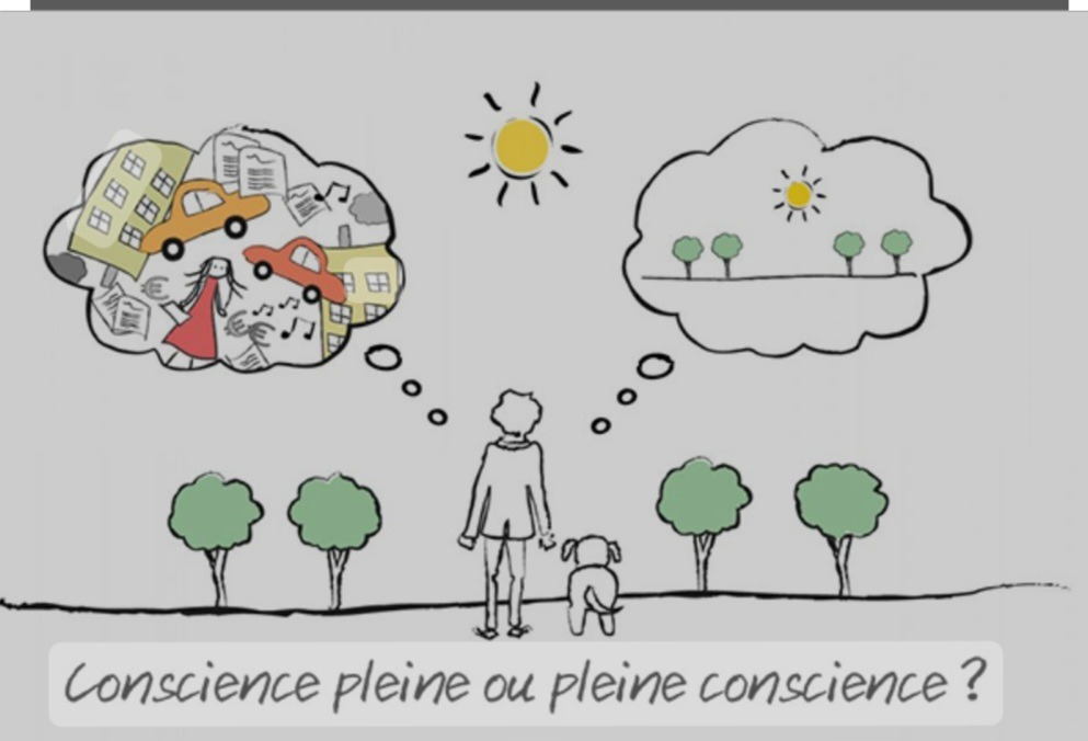 photo activite Sigride Bréau