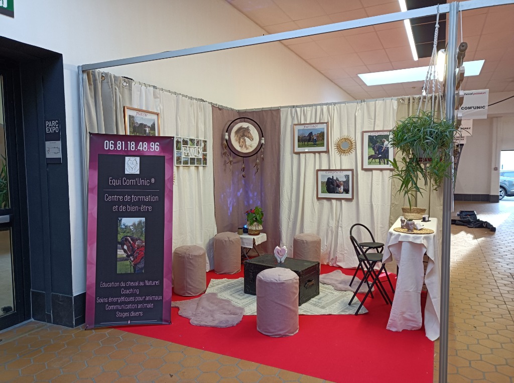 photo activite Isabelle Delacressonniere