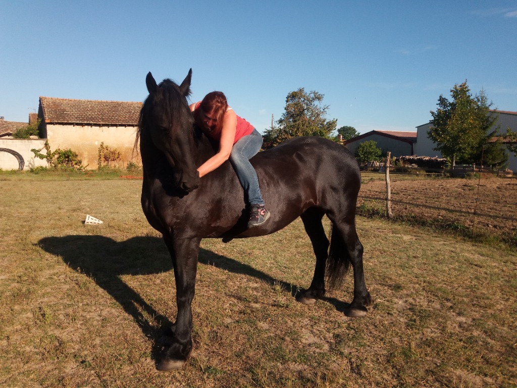 photo portrait Isabelle Delacressonniere