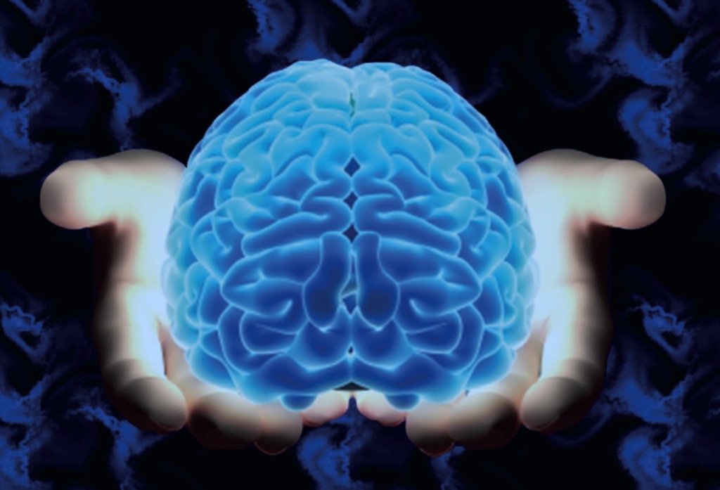 photo cabinet Olivier FAURAN