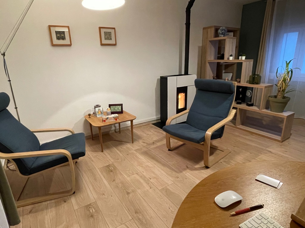 photo cabinet Carole Bertaux