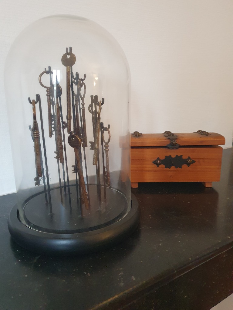 photo portrait Laurent Buisine