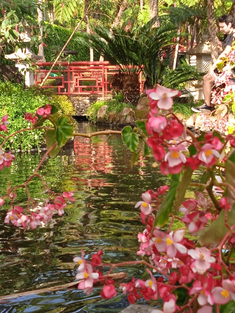 photo portrait Patricia Plouzané
