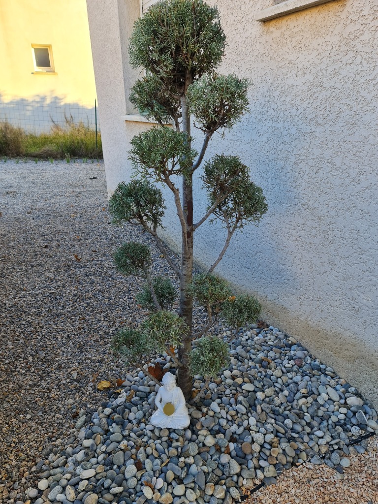 photo activite Arbrezen Perdreau Magali