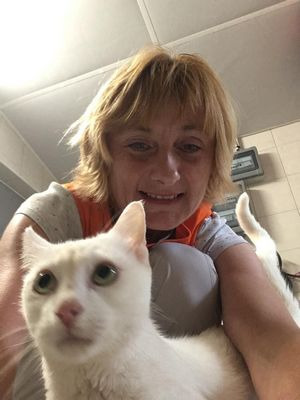 photo activite ANIMA’LOU