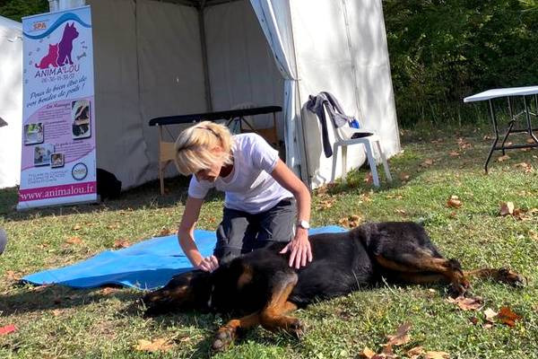 photo seance ANIMA’LOU