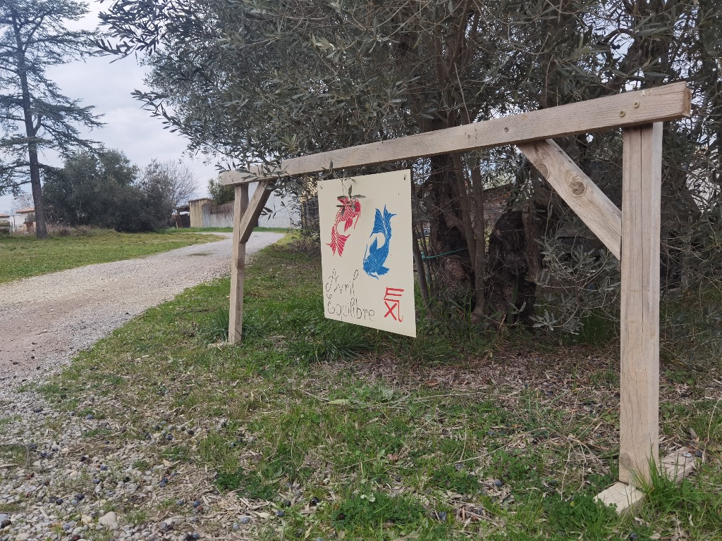 photo portrait Avril Equilibre