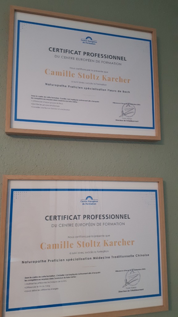photo diplome Camille Stoltz-Karcher