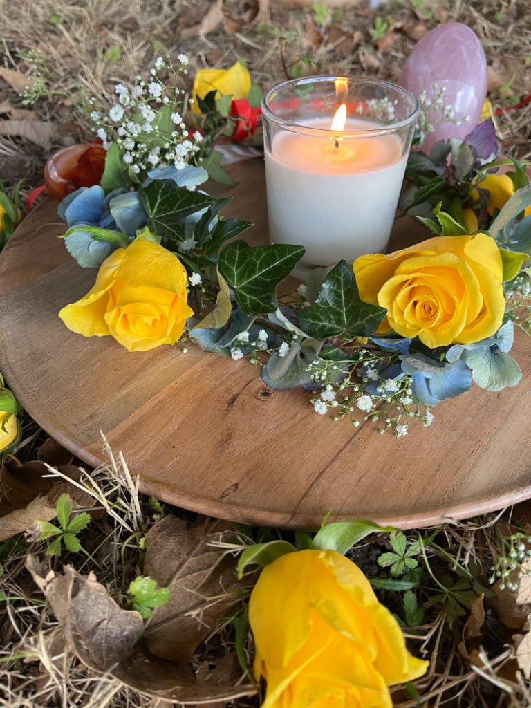 photo cabinet Mélisa Lozach