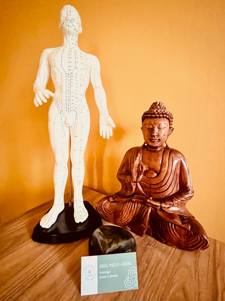 photo activite Aurélie Malécot-Chabanel