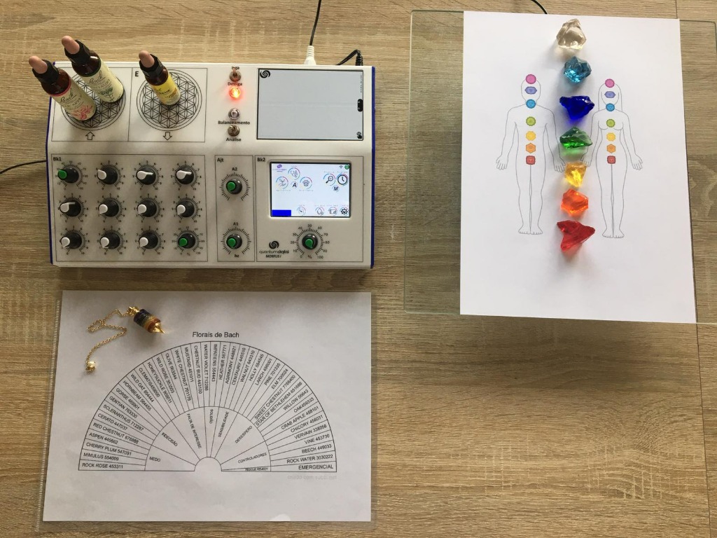 photo activite Sandra Duarte