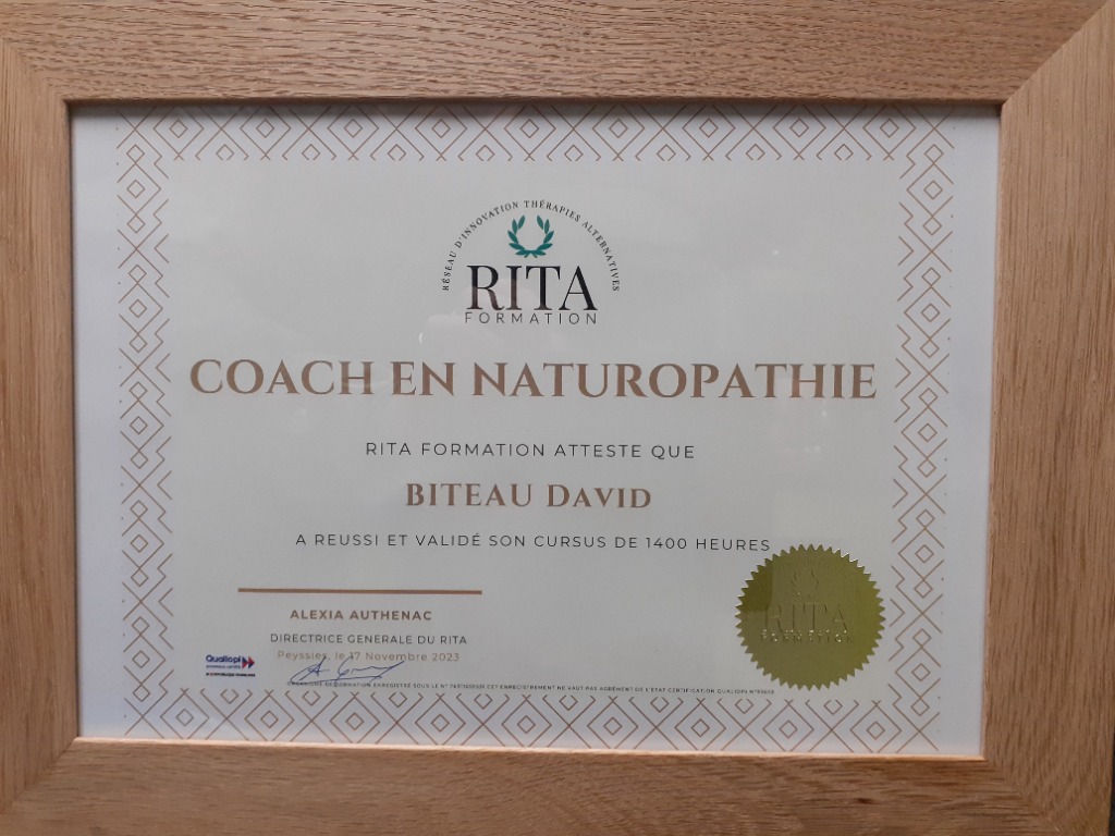 photo diplome David Biteau