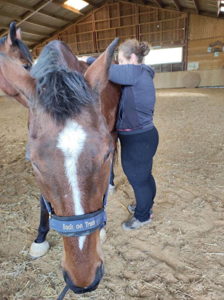 photo seance Saunoki Reiki