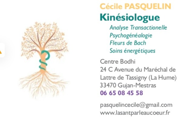 photo activite Cécile PASQUELIN