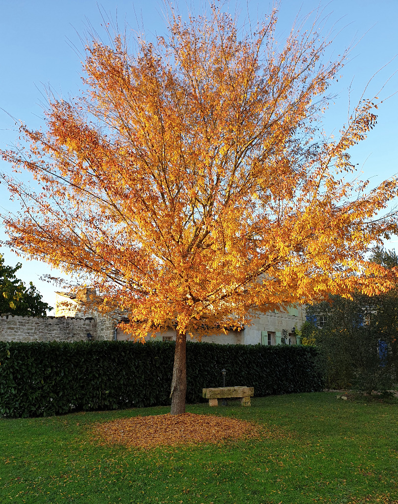 photo seance Claudy Journaud