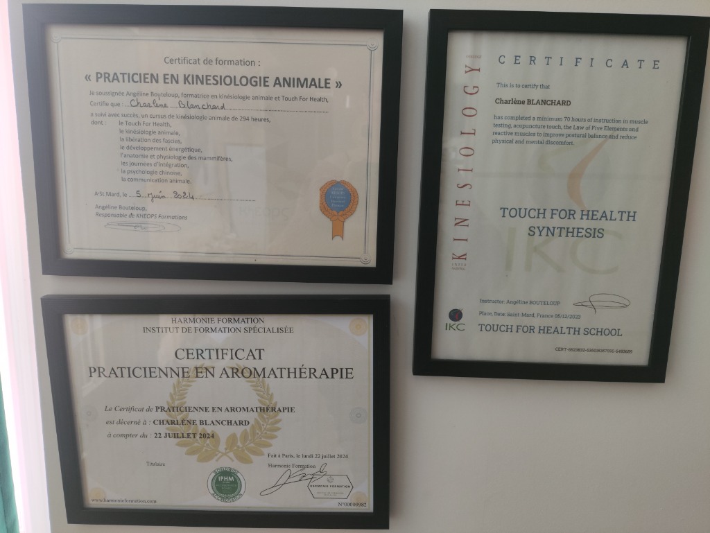 photo diplome Charlène Blanchard