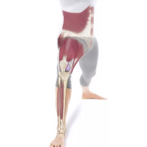 Parvâti Leclercq "Maison du Yoga "