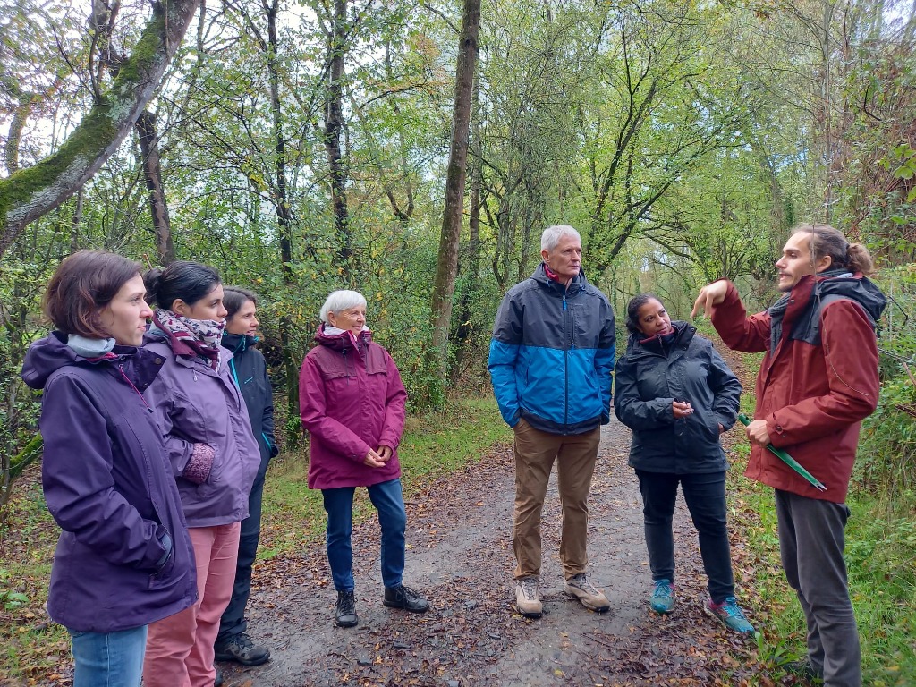 photo seance Amandine Naturopathe Angers (49)