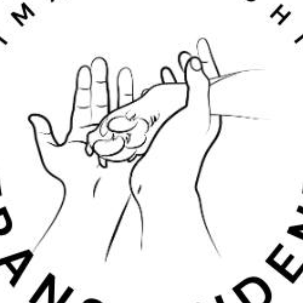 Transzendenz Coaching