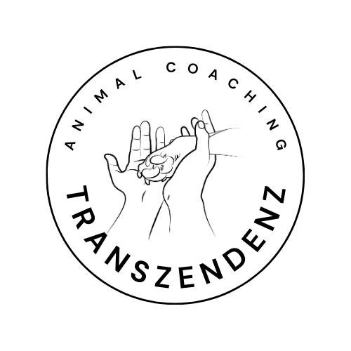 photo activite Transzendenz Coaching