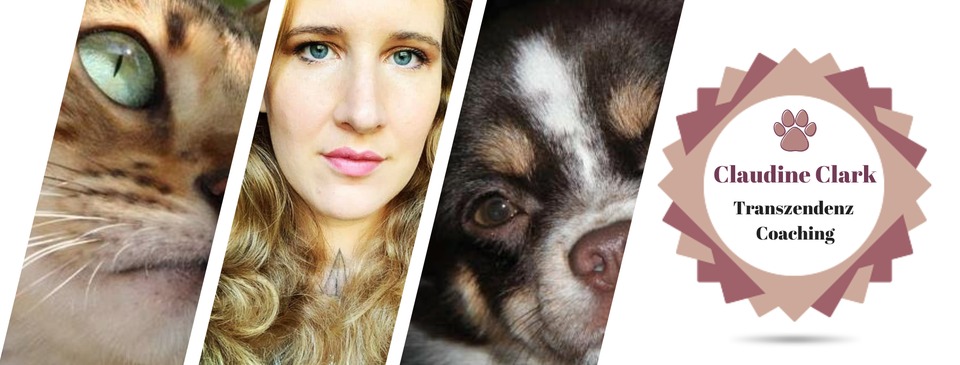 photo cabinet Transzendenz Coaching