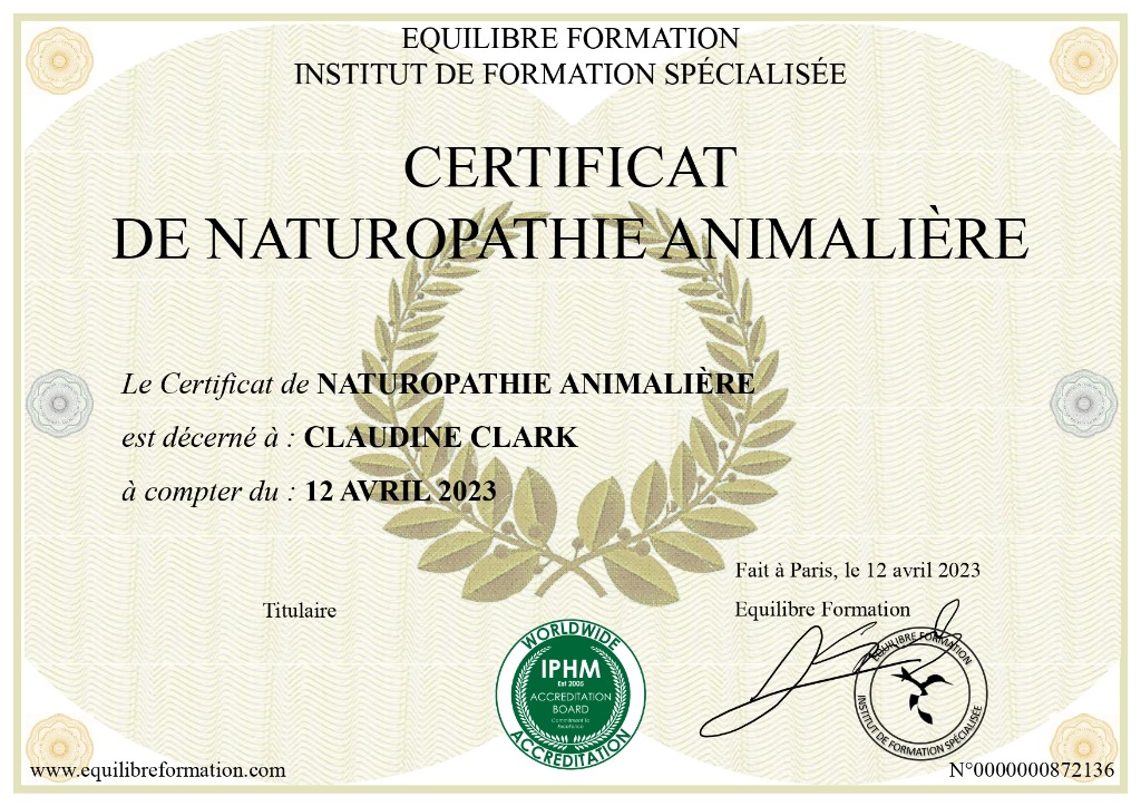 photo diplome Transzendenz Coaching