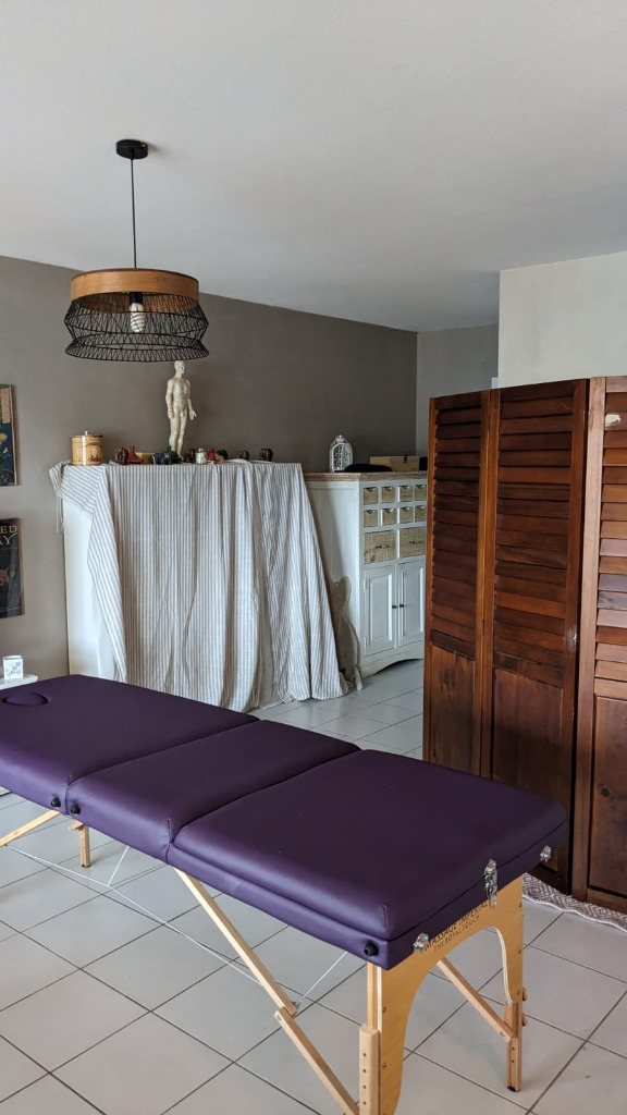 photo cabinet Libellule Bleue - Renard Aude