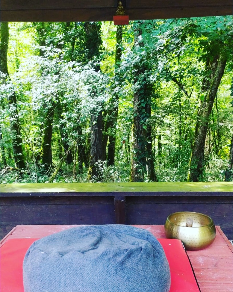 photo cabinet Delphine Ledoux